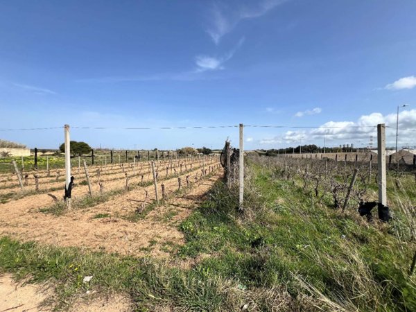 terreno agricolo in vendita a Mazara del Vallo