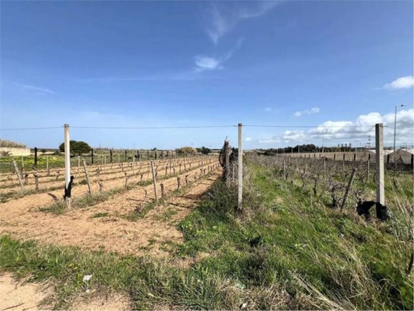 terreno agricolo in vendita a Mazara del Vallo