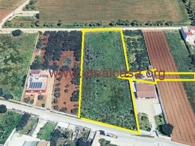 terreno agricolo in vendita a Mazara del Vallo