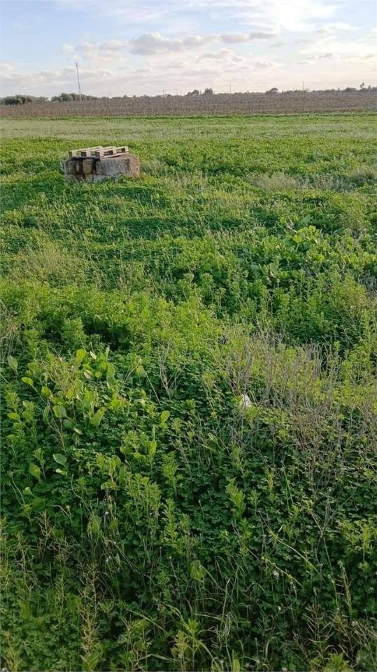 terreno agricolo in vendita a Mazara del Vallo