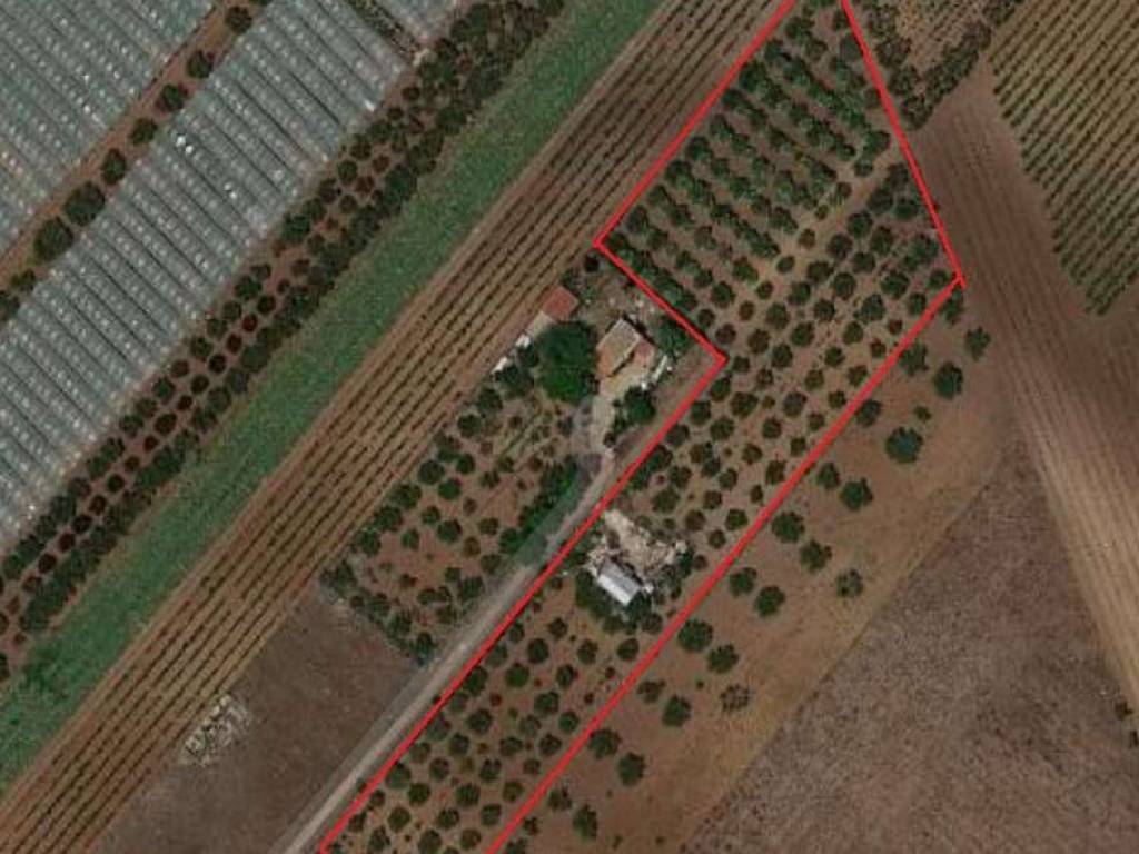 terreno agricolo in vendita a Mazara del Vallo in zona Borgata Costiera