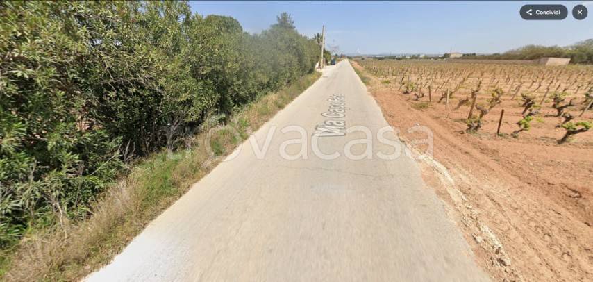 terreno agricolo in vendita a Mazara del Vallo in zona Capo Feto
