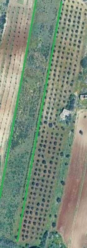 terreno agricolo in vendita a Mazara del Vallo
