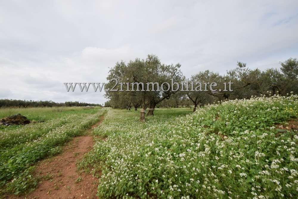 terreno edificabile in vendita a Mazara del Vallo