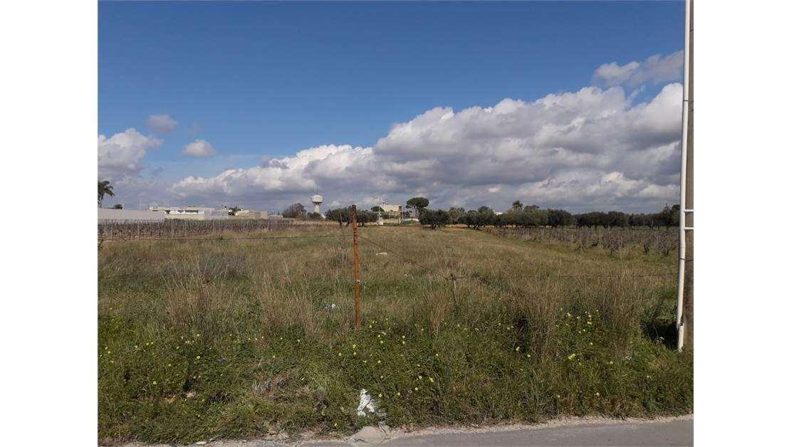 terreno agricolo in vendita a Mazara del Vallo