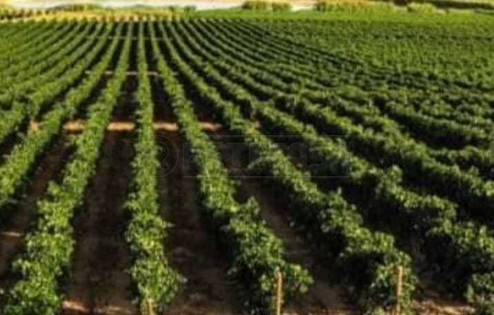 terreno in vendita a Mazara del Vallo in zona Mazara Due