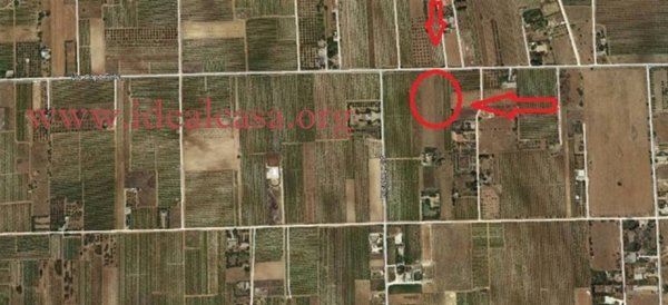terreno agricolo in vendita a Mazara del Vallo in zona Capo Feto