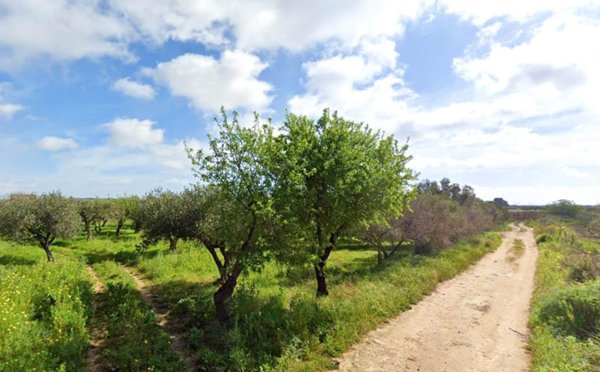 terreno agricolo in vendita a Mazara del Vallo