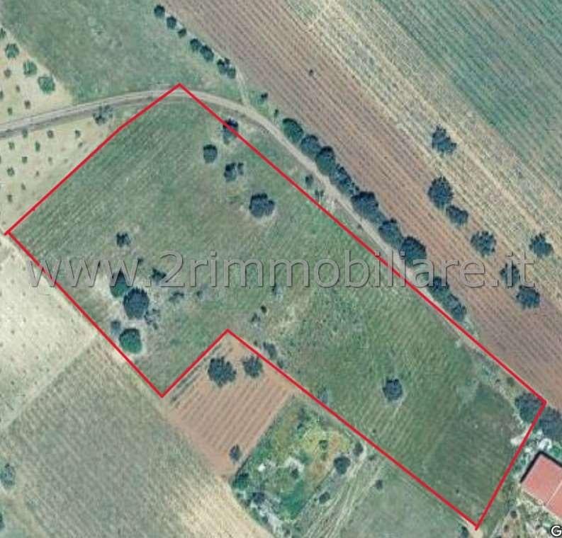 terreno agricolo in vendita a Mazara del Vallo