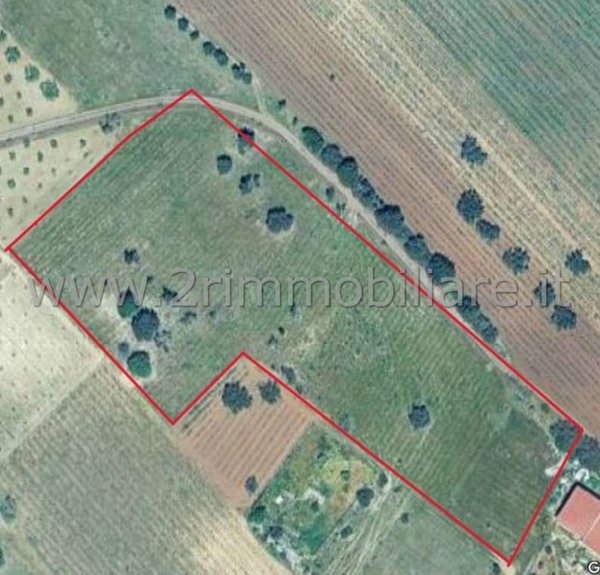 terreno agricolo in vendita a Mazara del Vallo