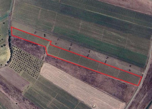 terreno agricolo in vendita a Mazara del Vallo