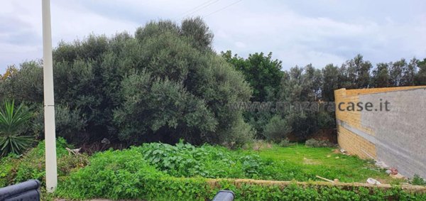 terreno agricolo in vendita a Mazara del Vallo