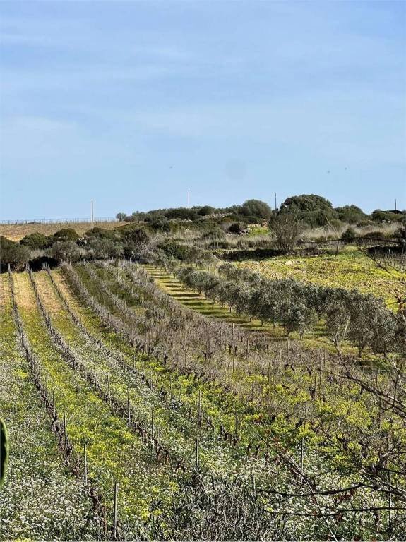 terreno agricolo in vendita a Mazara del Vallo