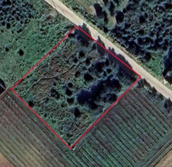 casa indipendente in vendita a Mazara del Vallo