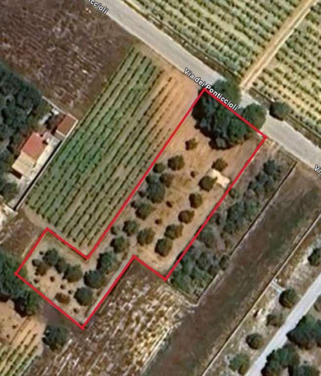 terreno agricolo in vendita a Mazara del Vallo