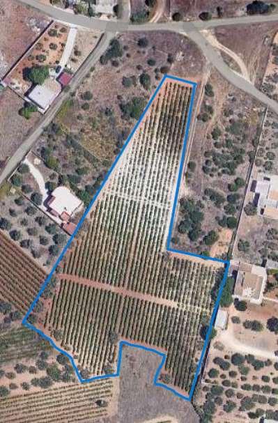 terreno agricolo in vendita a Mazara del Vallo