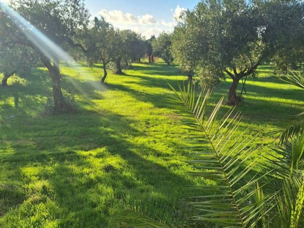 casa indipendente in vendita a Mazara del Vallo in zona Centro Storico