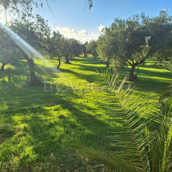casa indipendente in vendita a Mazara del Vallo in zona Centro Storico