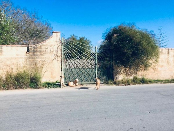 casa indipendente in vendita a Mazara del Vallo in zona Centro Storico