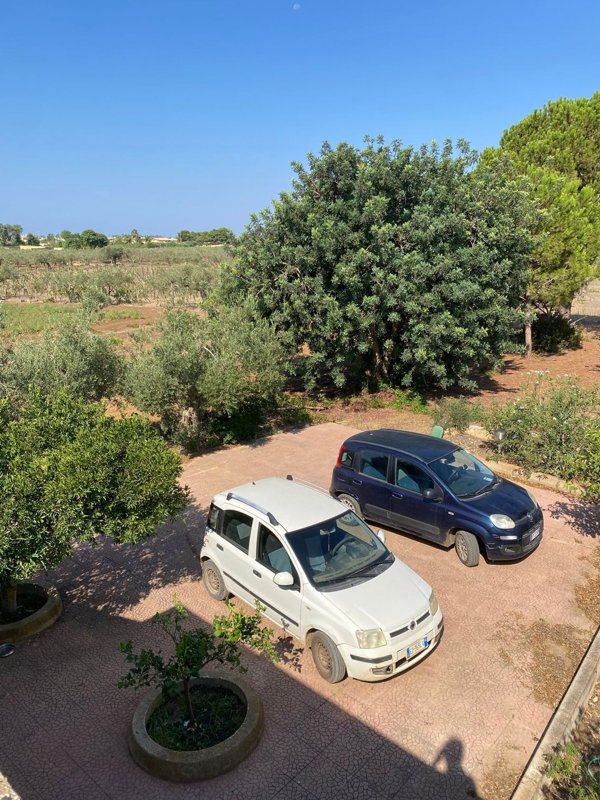 pentavano in vendita a Mazara del Vallo