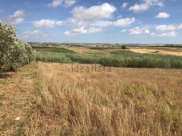 terreno agricolo in vendita a Mazara del Vallo