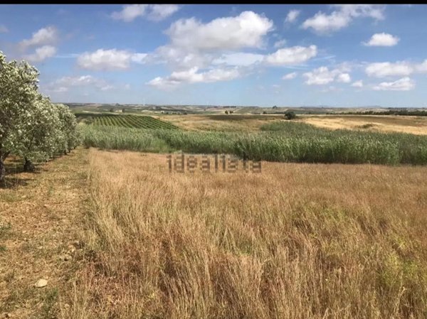 terreno agricolo in vendita a Mazara del Vallo