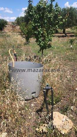 terreno agricolo in vendita a Mazara del Vallo