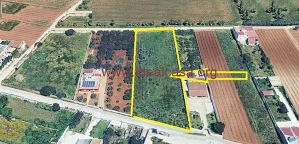 terreno agricolo in vendita a Mazara del Vallo