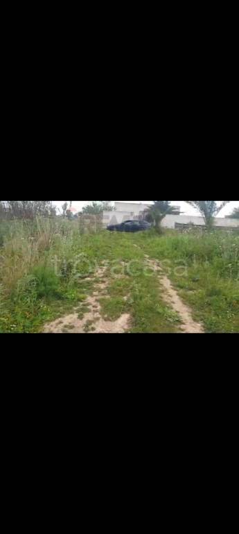 terreno agricolo in vendita a Mazara del Vallo