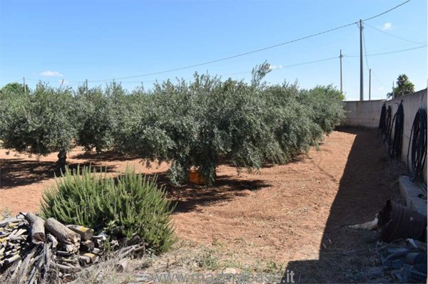 terreno in vendita a Mazara del Vallo in zona Centro Storico