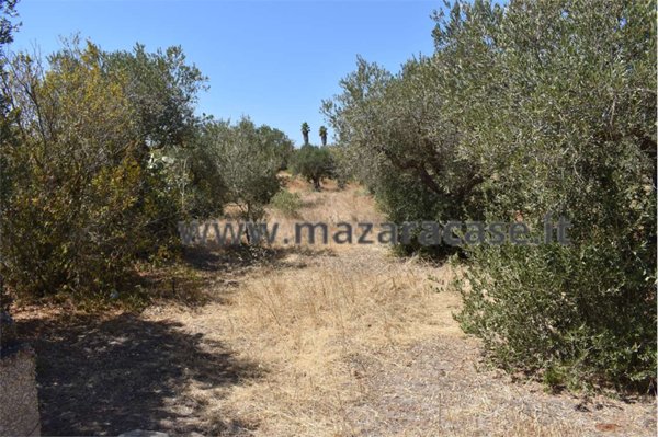 terreno agricolo in vendita a Mazara del Vallo