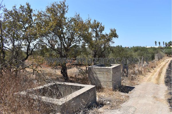 terreno agricolo in vendita a Mazara del Vallo