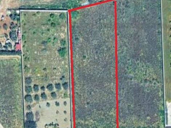 terreno agricolo in vendita a Mazara del Vallo