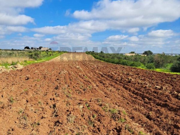terreno agricolo in vendita a Mazara del Vallo