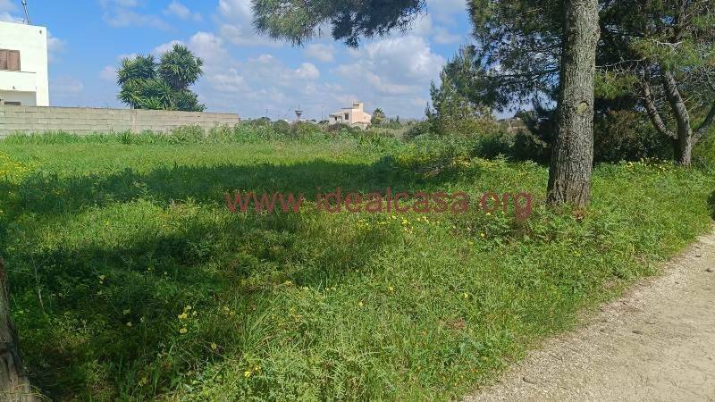 terreno agricolo in vendita a Mazara del Vallo