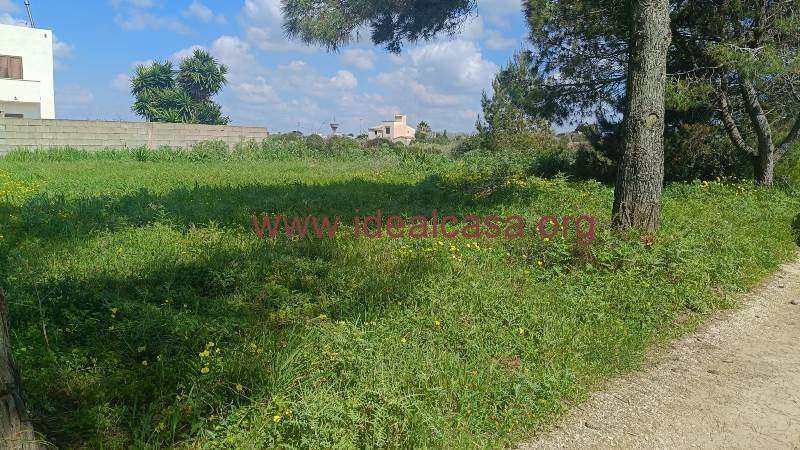 terreno in vendita a Mazara del Vallo