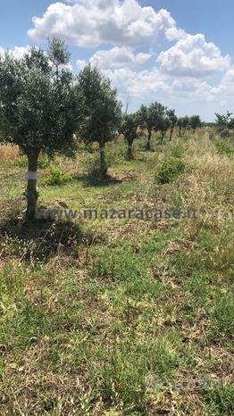 terreno agricolo in vendita a Mazara del Vallo