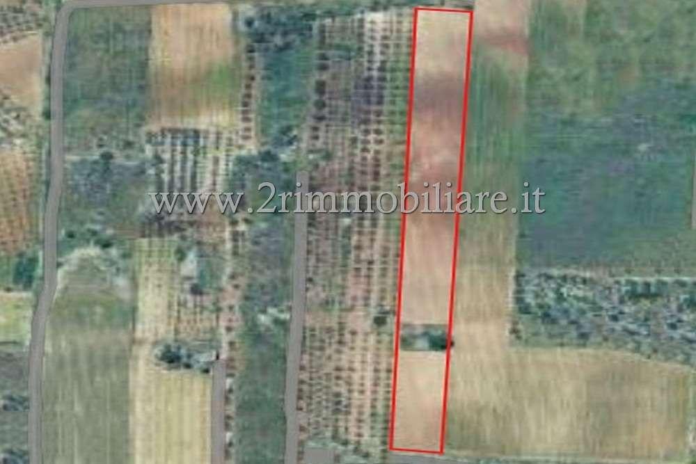 terreno agricolo in vendita a Mazara del Vallo