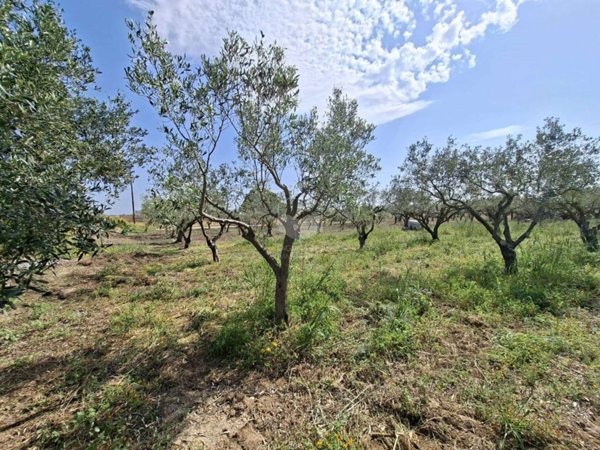 terreno agricolo in vendita a Mazara del Vallo