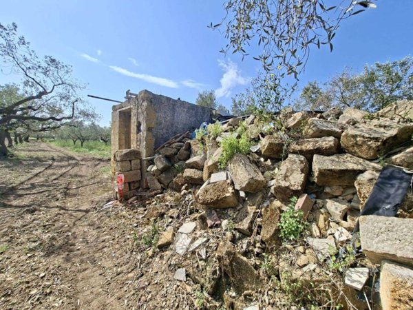terreno agricolo in vendita a Mazara del Vallo