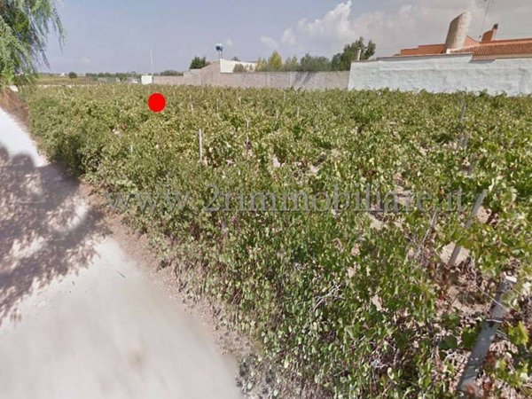 terreno agricolo in vendita a Mazara del Vallo