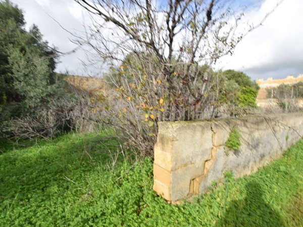 casa indipendente in vendita a Mazara del Vallo