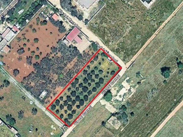 terreno agricolo in vendita a Mazara del Vallo