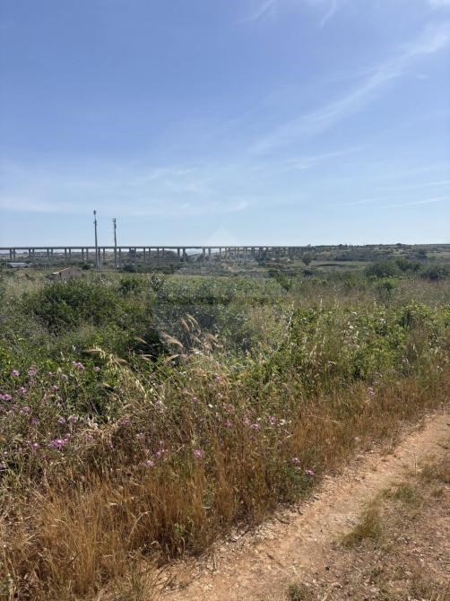 terreno agricolo in vendita a Mazara del Vallo