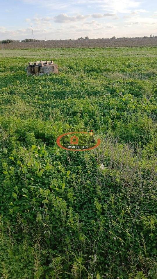 terreno agricolo in vendita a Mazara del Vallo in zona Mazara Due