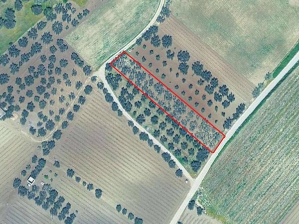 terreno agricolo in vendita a Mazara del Vallo
