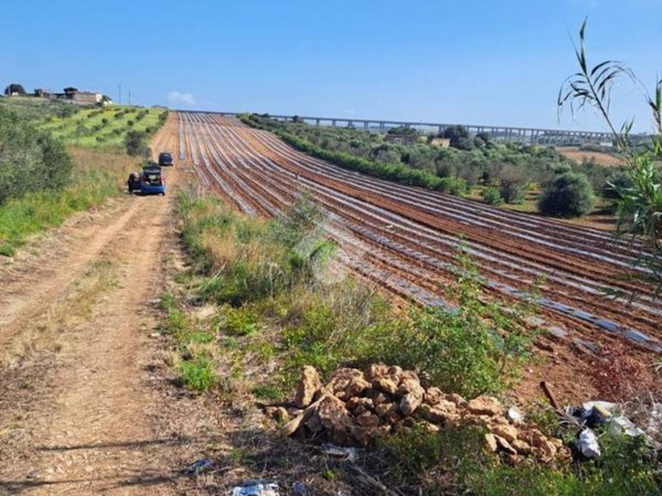 terreno agricolo in vendita a Mazara del Vallo