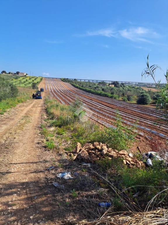 terreno agricolo in vendita a Mazara del Vallo