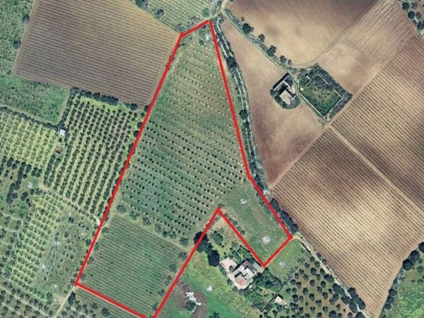 casale in vendita a Mazara del Vallo in zona Mazara Due