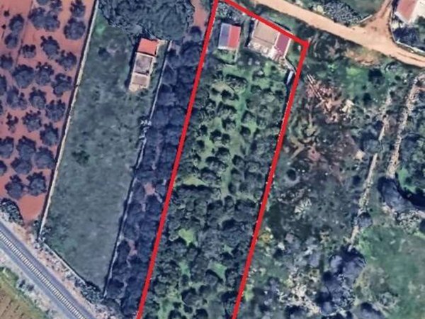 terreno agricolo in vendita a Mazara del Vallo in zona Capo Feto